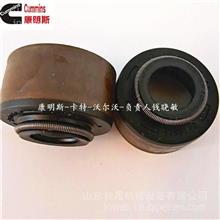 康明斯系列喷油器4955524与4955525 矿山设备专用机械密封的卓越选择