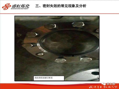 精品解析 140页盛虹炼化机械密封培训PPT全攻略